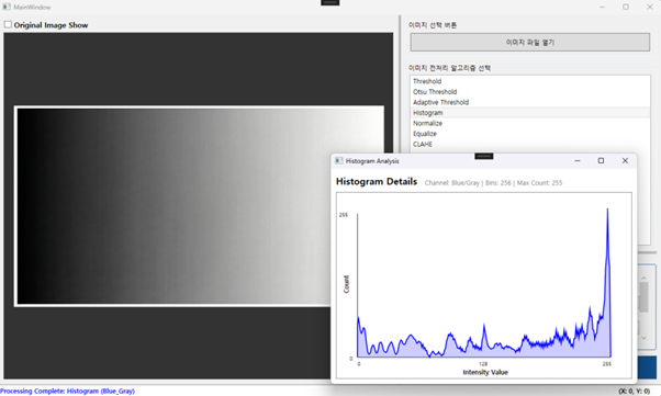 히스토그램 버그 수정 실행 이미지